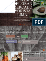 Tipo y Segmentación Del Gran Mercado de Lima