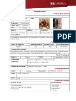 Analisis de Usuario - Ficha