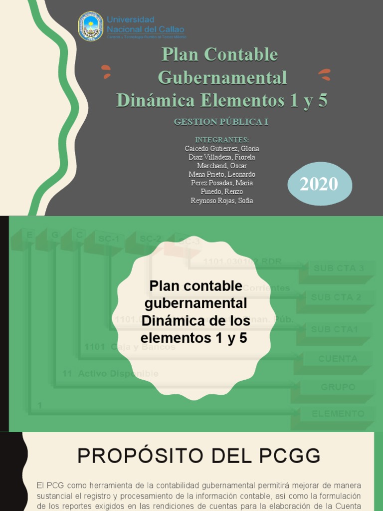 Propósito y Estructura del PCGG | PDF | Contabilidad | Balance de pagos