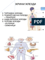 Ендокрин Систем. Биологија. Благоја Зајаковски