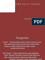 Tanam Dan Pola Tanam