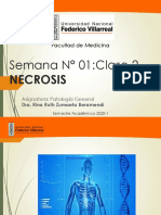 Necrosis-UNFV-PowerPoint Oficial-A