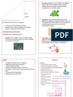 Tema Reino Protista PDF