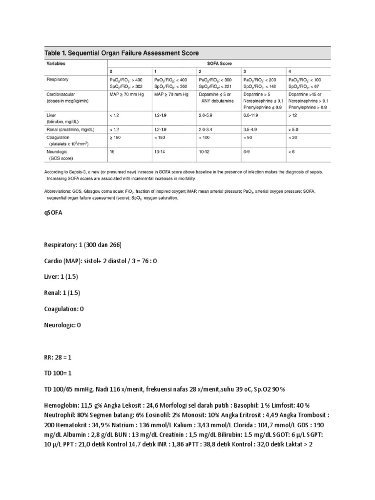 Medical Assessment Summary | PDF