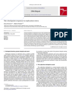 The Checkpoint Response To Replication Stress: DNA Repair