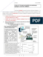 liberation-de-l-energie-emmagasinee-dans-la-matiere-organique-corriges-d-activites-1 (1).pdf