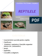 Reptilele Prezentare123