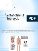 metabolism_energetic