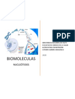 Biomoleculas Nucleotidos