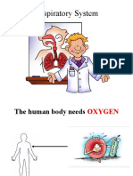 Respiratory and Circulatory Systems.pptx