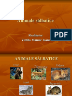 animale_salbatice