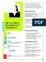 CV de La Cruz 2020