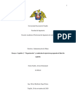 ENSAYO Organización PDF