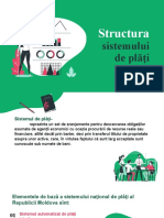 Structura Sistemului de Plati