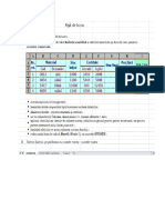 Fisa de Lucru Formatari Excel