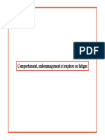 Amphi_Fatigue_2008.pdf
