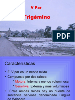 TRIGEMINO Y N OFTAMICO (CORTO).ppt