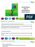 Riesgo Publico.pdf