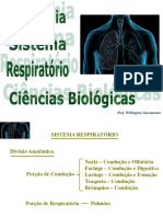 Anatomia 7 - Sistema Respiratório
