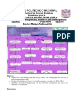 Bitacora - Aislamiento - Hidrolisis DNA