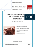 Obtención de Cocoa en Polvo Danitza Choque Marca