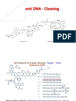 B1-2.2f - Agenti DNA-Cleaving (15-11-2019).pdf