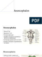 Mesencephalon BEO