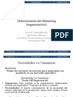 Determinantes_del_Marketing_segmentaci_n_