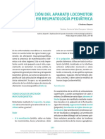 29_expl_aparato_locomotor.pdf