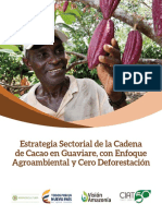 Vision Amazonia Cacao Guaviare Web-Definitivo