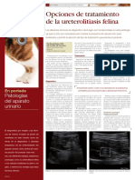 Diagnóstico y opciones de tratamiento para la ureterolitiasis felina