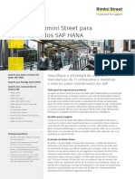 Rimini Street Datasheet SAP HANA Database BR