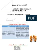Conformacion-Comites.pptx