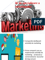 Domeniile de Specializare Ale Marketingului