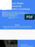 Impacto ambiental del Frigorífico Guadalupe