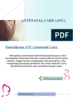 Antenatal Care (Anc)