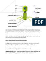 Virus Merupakan Parasit Berukuran Kecil