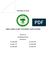 Arid Agriclture University Rawalpindi: Pir Mehr Ali Shah