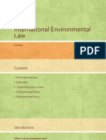 International Environmental Law Lecture