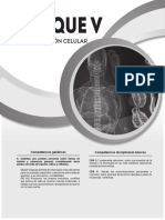 Biología I 2019-2-Bloque V PDF