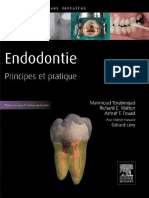 Endodontie Principes Et Pratique