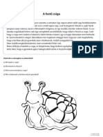 A Festő Csiga PDF