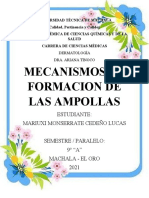 Mecanismos de Formacion de Las Ampollas