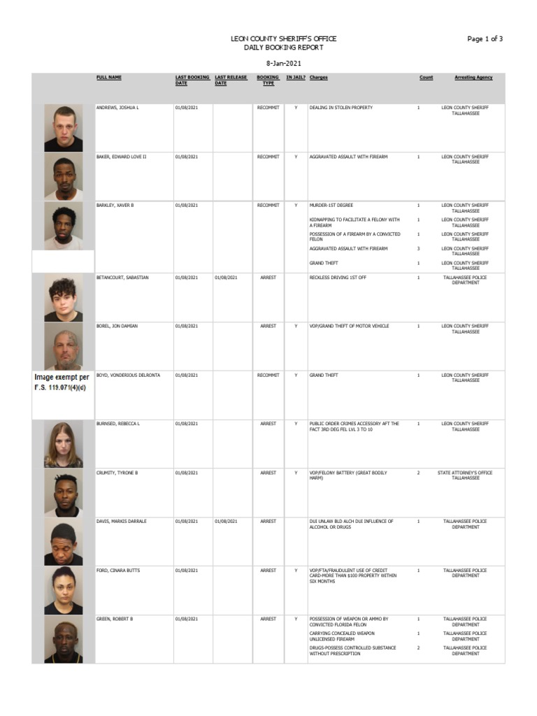 Leon County Booking Report Jan. 9, 2021 PDF Driving Under The