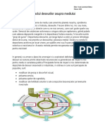 Impactul Deseurilor Asupra Mediului PDF