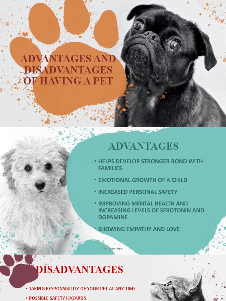 Advantages and Disadvantages of Having A Pet PDF