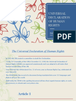 UDHR Rights