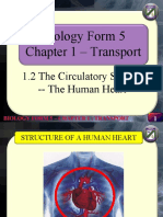 Biology Form 5 - The Human Heart