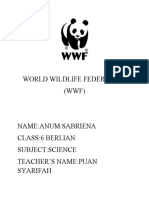 World Wildlife Federation