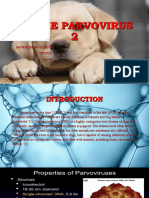 Canine Parvovirus Mechanism and Pathogenicity